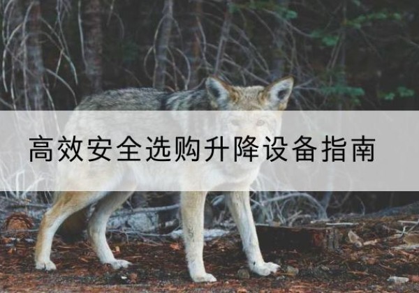察哈尔右翼中旗升降货梯厂家推荐-*安全选购升降设备指南