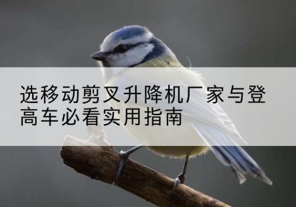 察哈尔右翼中旗电动升降机厂家-选移动剪叉升降机厂家与登高车必看实用指南