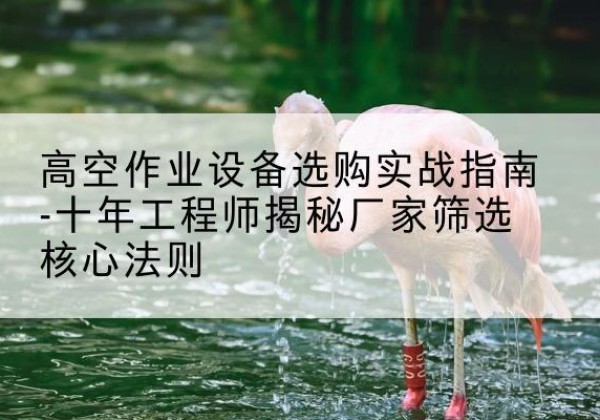 察哈尔右翼中旗剪叉式升降机厂家-高空作业设备选购实战指南-十年工程师揭秘厂家筛选核心法则