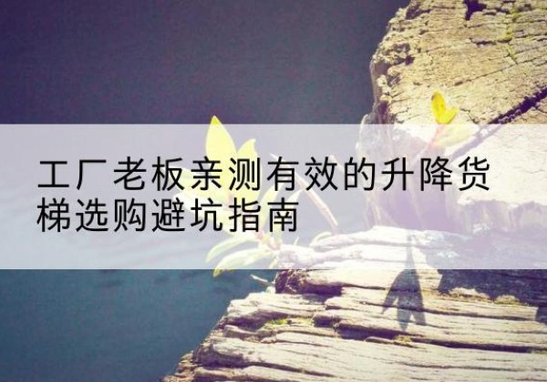 察哈尔右翼中旗升降货梯怎么选-工厂老板亲测有效的升降货梯选购避坑指南